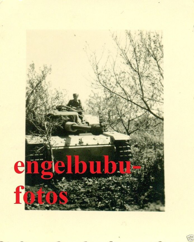 FOTO - PANZER - STURMGESCHÜTZ - TARNUNG - LANGRO