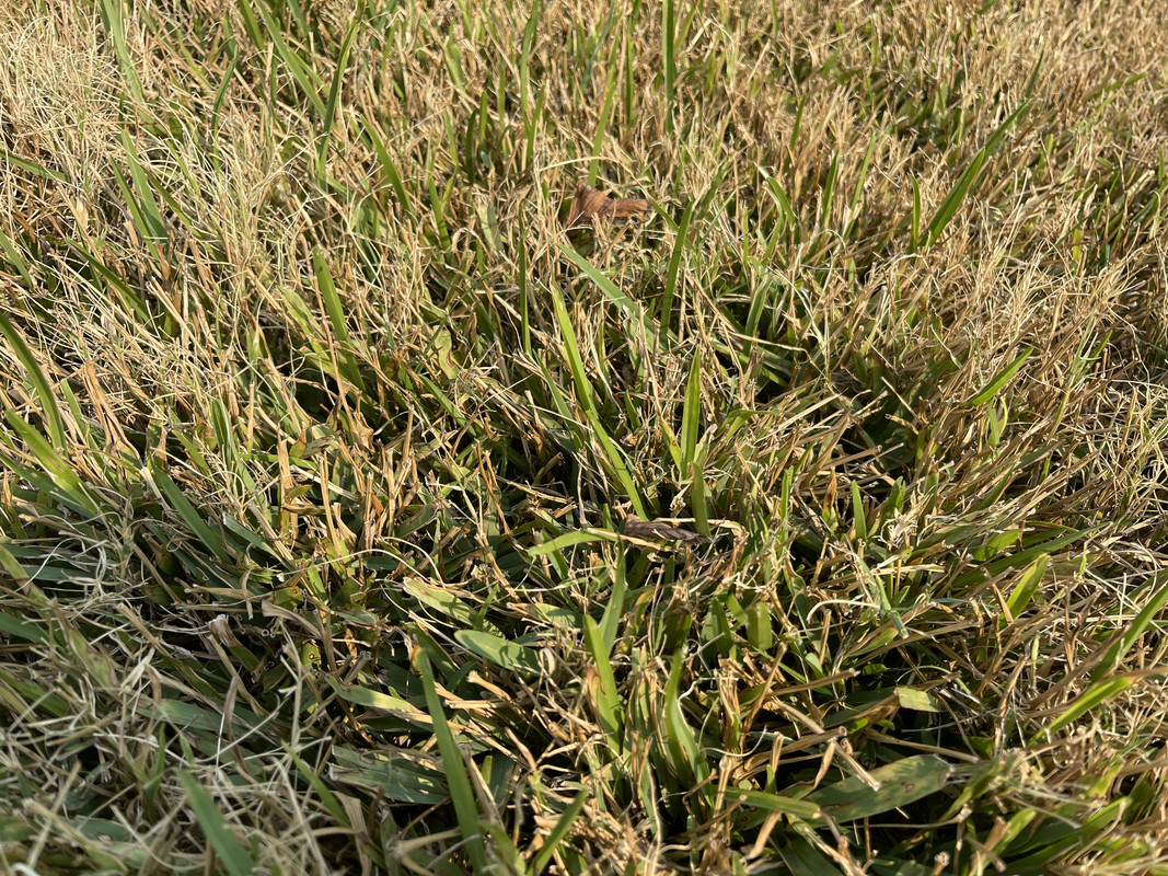 9DCC4A63-7717-4F53-927F-C7F9940BAFED