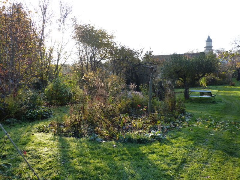 2014-11-07 Gräserbeet 1