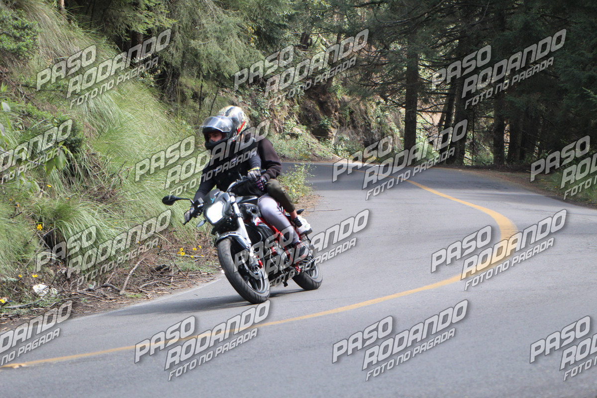 IMG 8432 wm 57874 5 watermarked — Postimages