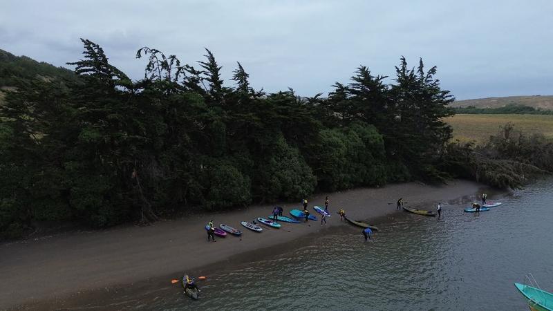 Orilla arbolada del río Rapel con tablas de SUP en la arena