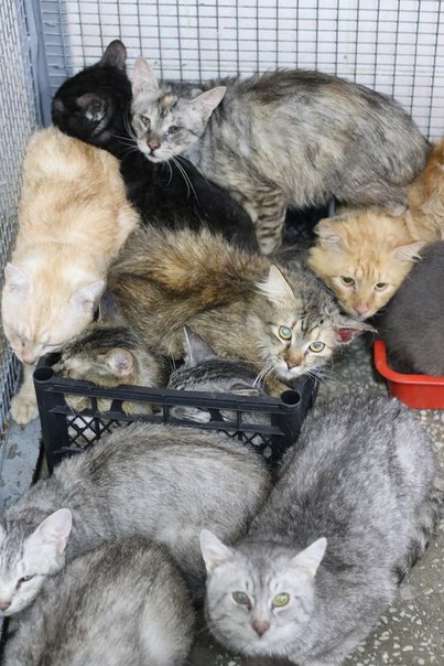 179AD6F3-2A09-46C1-8A7D-99AABF085392