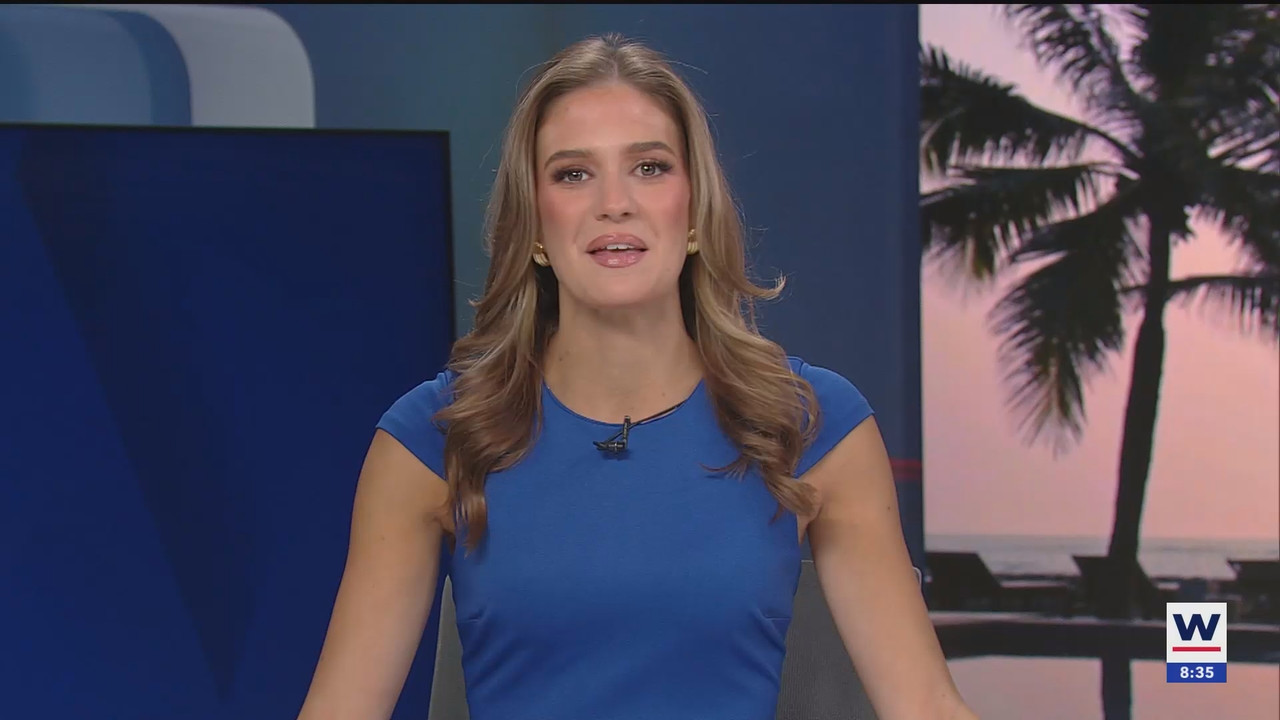 WINK News at 800AM_20250302_13001400.ts_snapshot_00.35.55.980