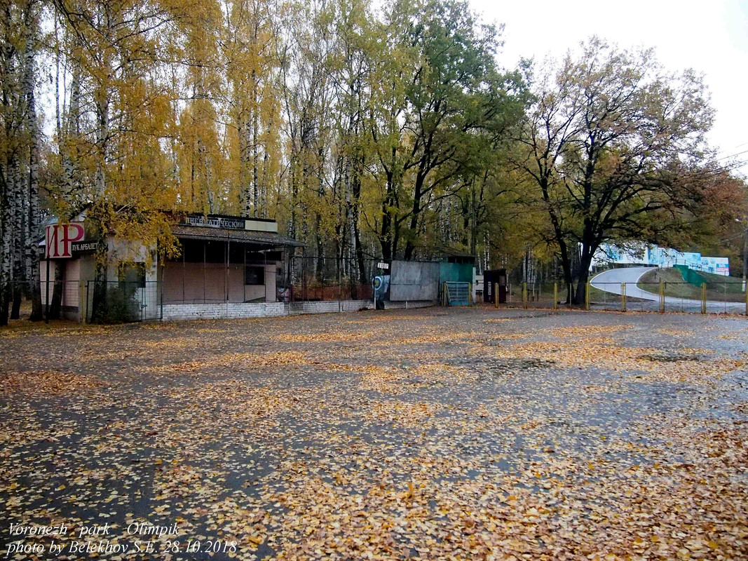 Воронеж, осень, парк