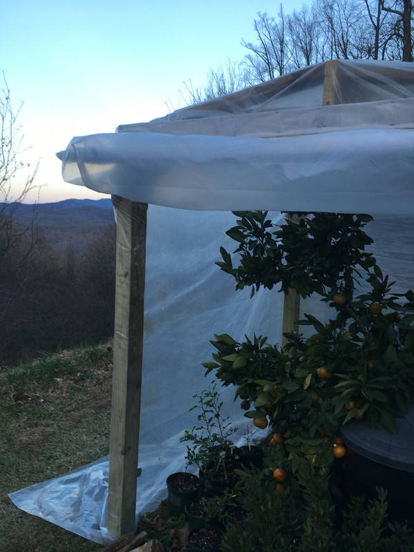 2031382F-17E6-4BA1-B61B-B5CDBAA588CC