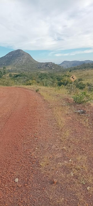 01 (100)