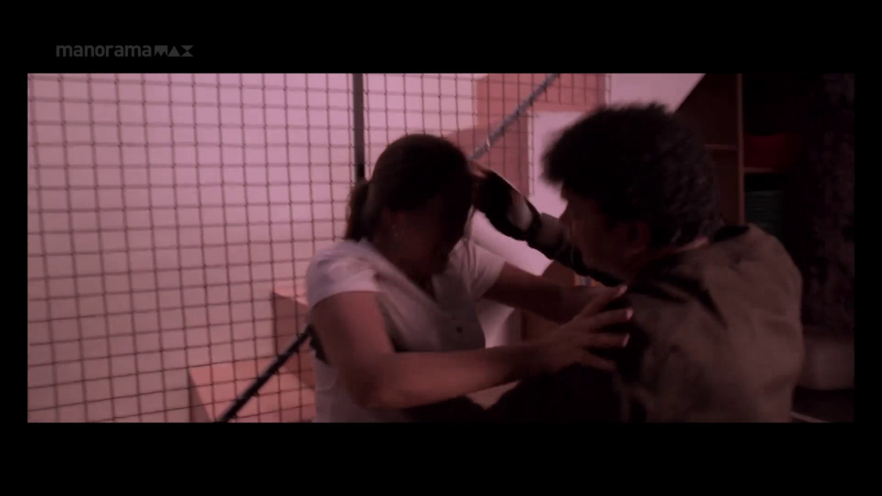 vlcsnap 2026 01 04 17h36m19s290