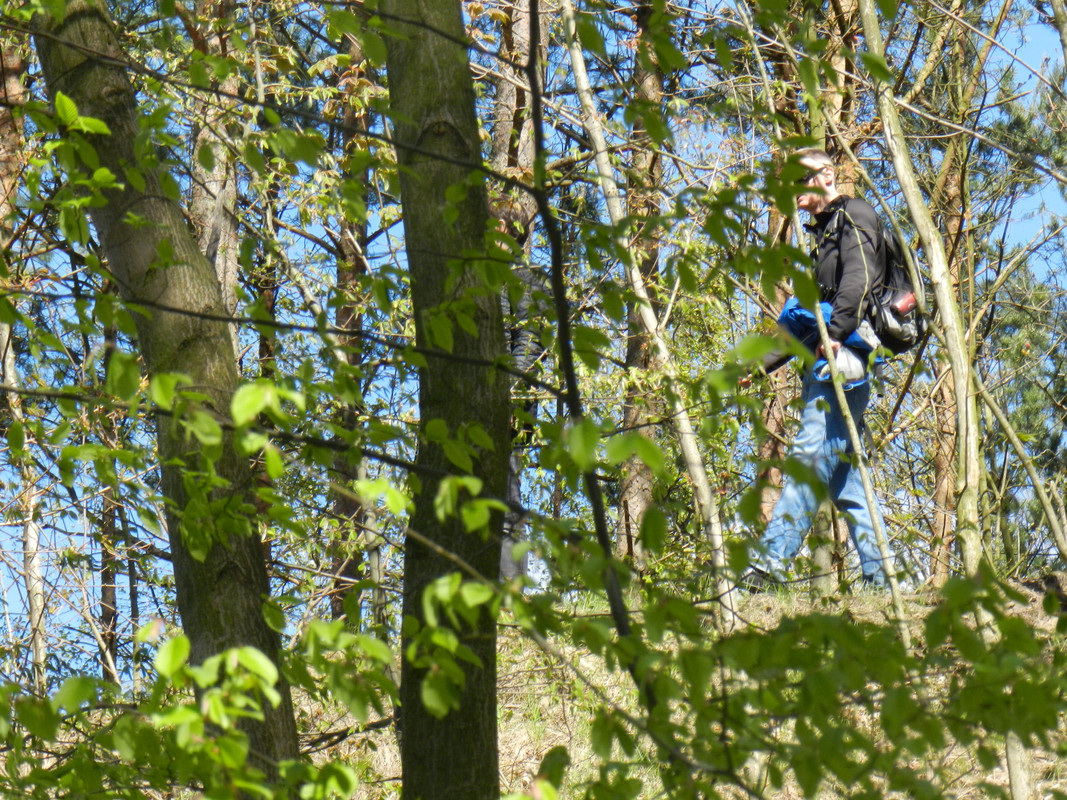 10a.03 - DSCN0044 (Milady)