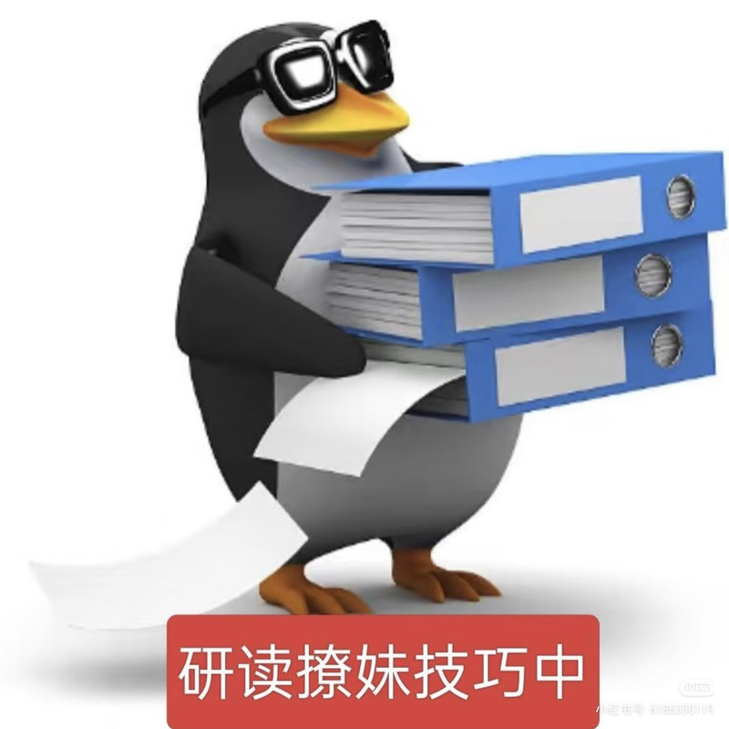 Camera XHS 1772026990051