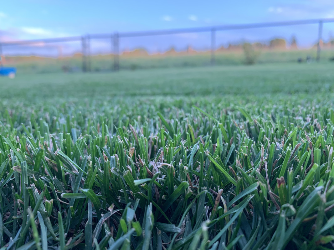 39E7A627-B033-44A0-BA7B-57D42C0B8381