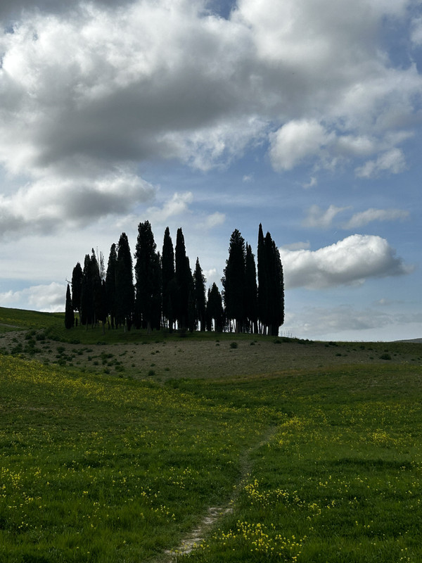 EDF02453-6C2A-4AD6-AA5C-E8199AC8DF5E