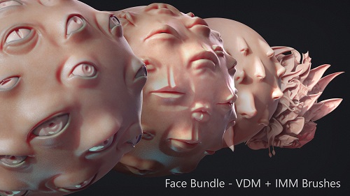Zbrush - Face IMM + VDM Bundle