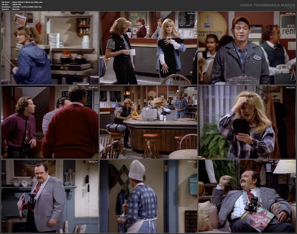 Wings S05E06 A Black Eye Affair.mkv