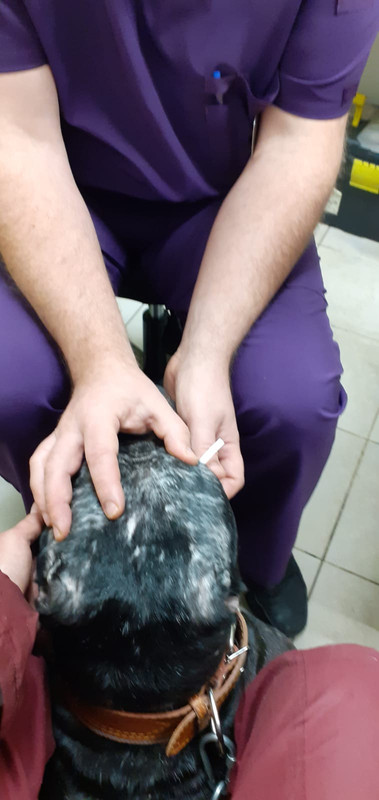 3B58366C-A4D4-4D91-B64C-26A99ED102F9