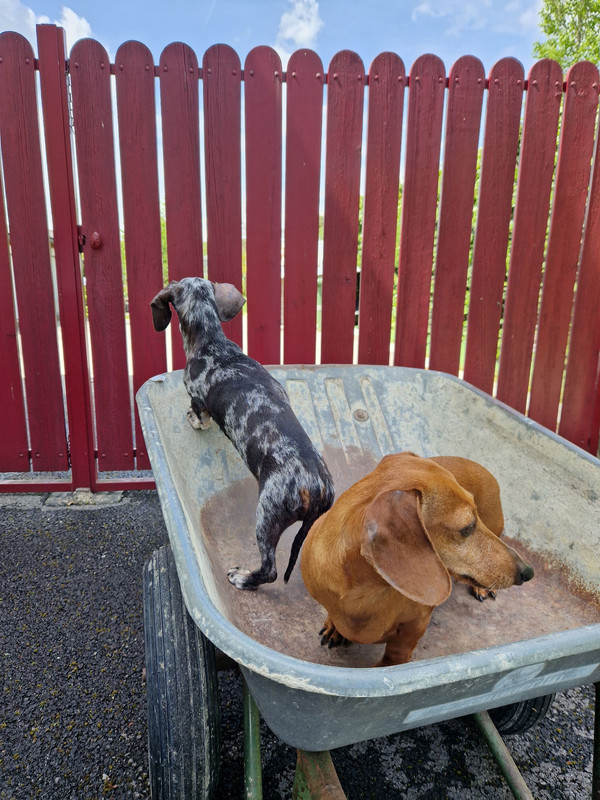 [Image: 20240505-144338.jpg]