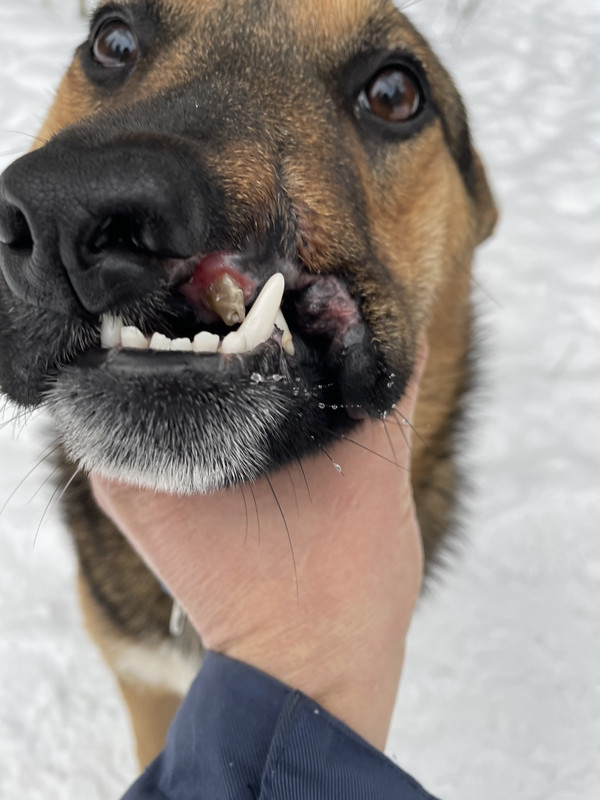 9E28F0D4-0903-45EA-992A-A1B488D71106