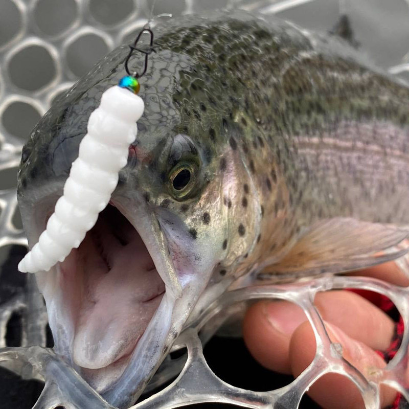 Fresh Lures, trout fishing lures, trout fishing lures plastic,