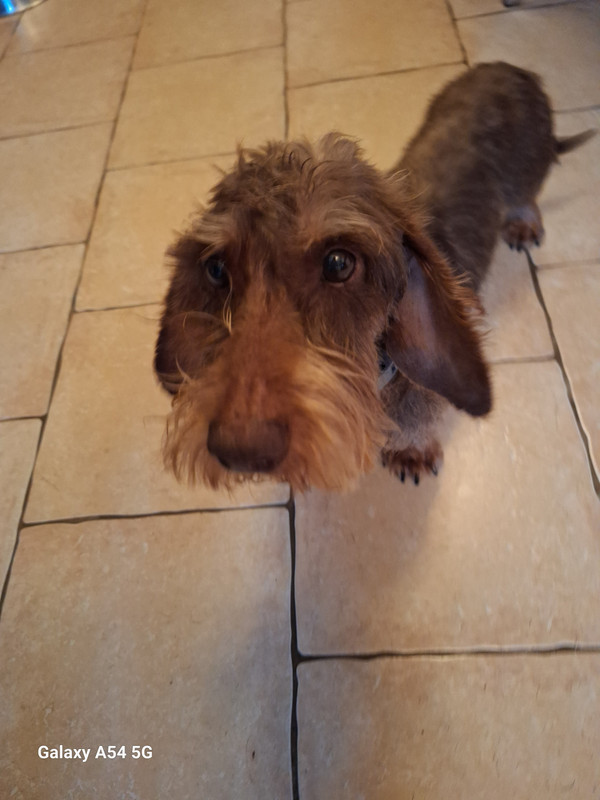 [Image: 20241022-091904.jpg]