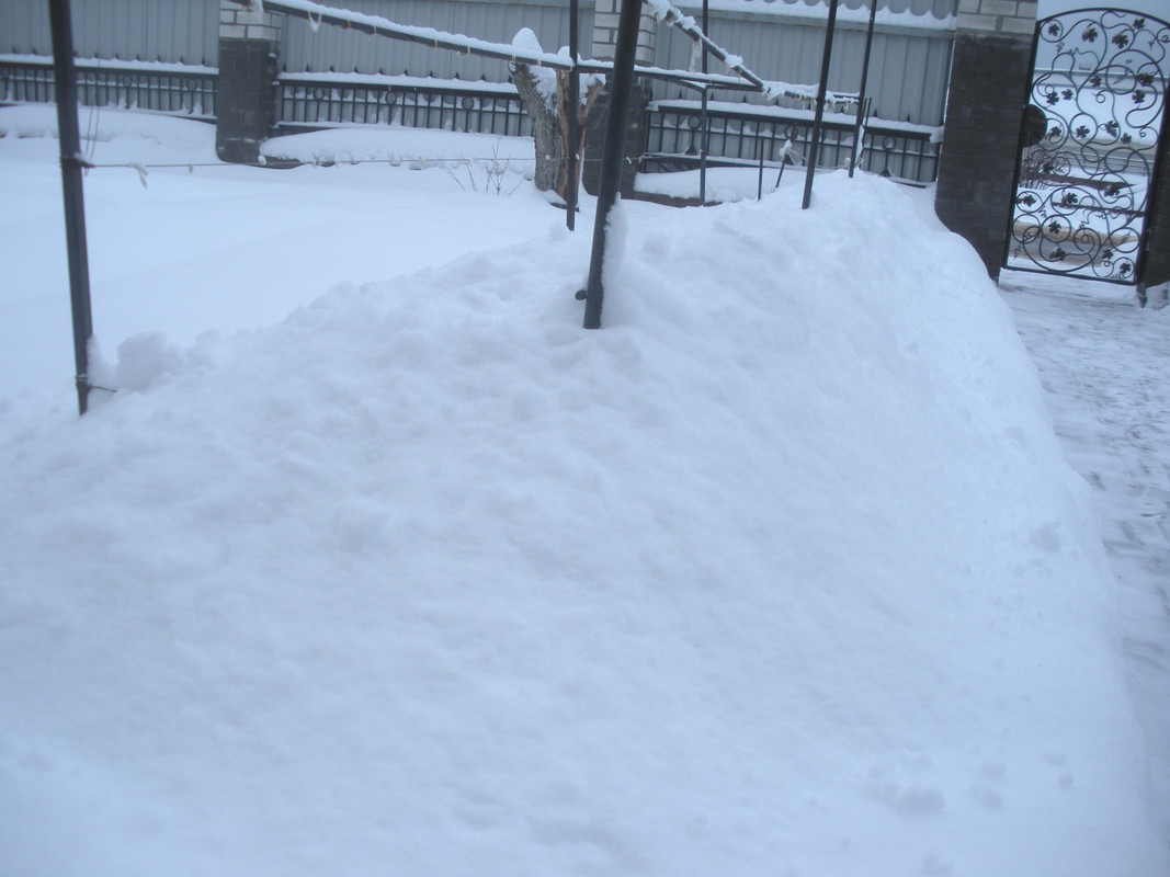 Зимний пейзаж-1, январь 2019