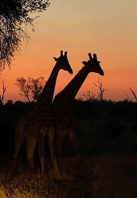 [Linked Image from i.postimg.cc]