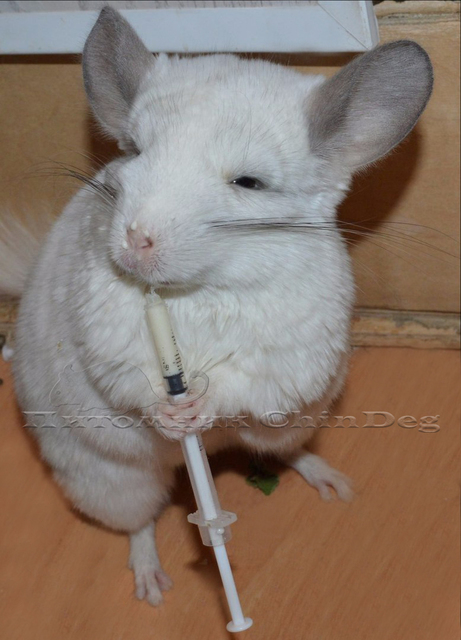 RLAaoWZyCgU