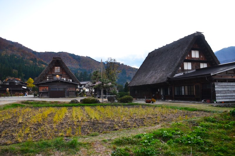 Aldea Histórica de Shirakawa-Go-14-11-2024 - Japón y sus Pueblos-2024 (16)