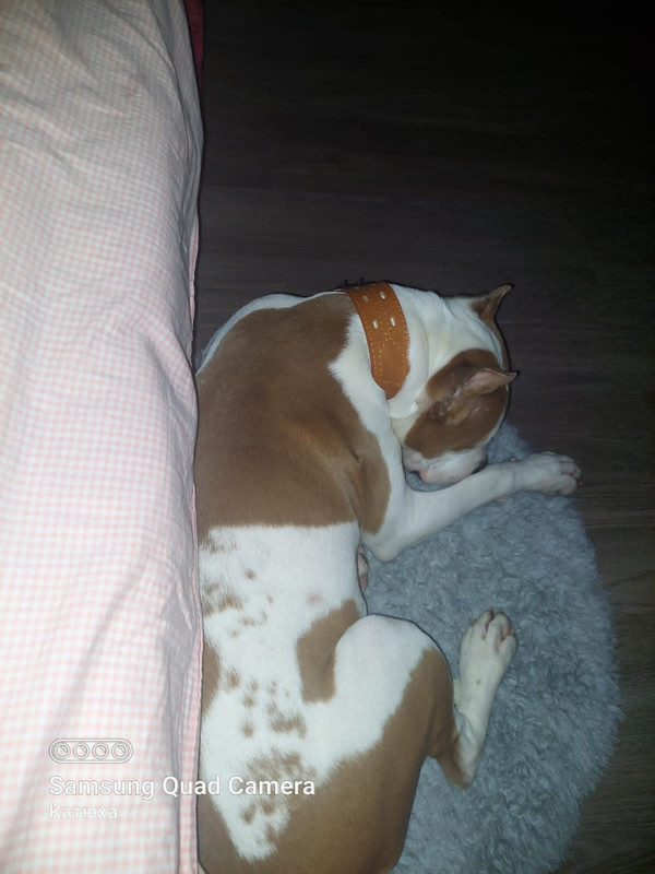 82554A97-46EB-409F-928D-9F513E83153D