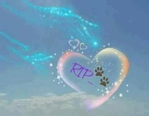 [Image: IMG-0618.jpg]