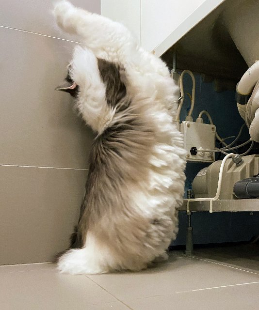 9-EF84426-7984-40-A6-85-F3-B610-C42-E133