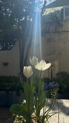 fa66466ab46de017fe39ab2e8048967d