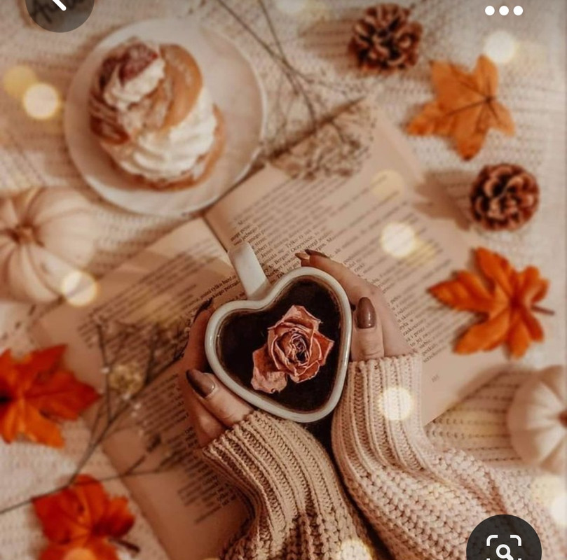 Screenshot_20231031_170630_Pinterest