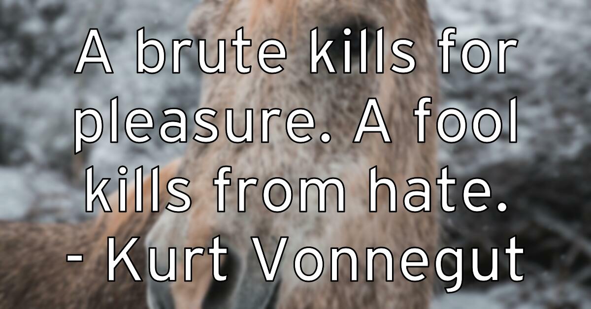 a-brute-kills-for-pleasure-a-fool-kills-from-hate-kurt-vonnegut