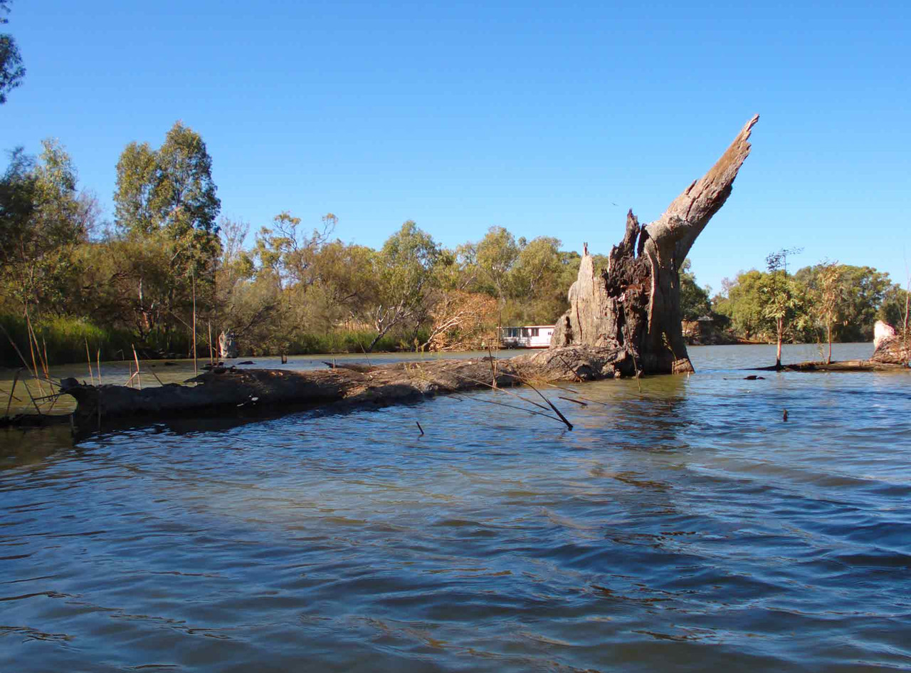 Murray River