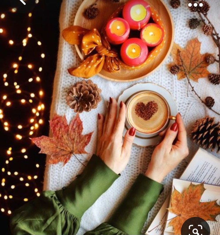 Screenshot_20231008_224201_Pinterest