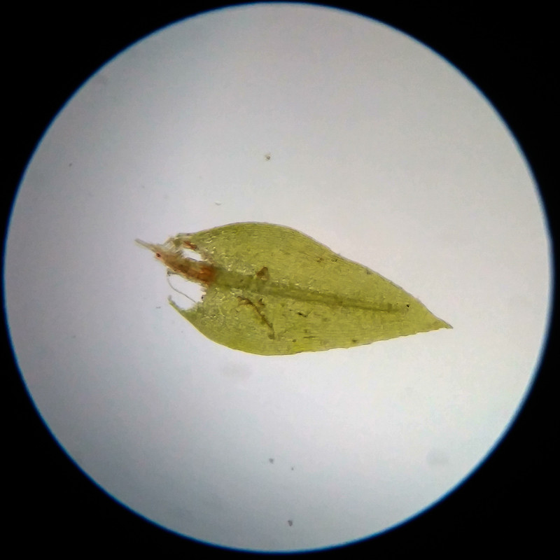 IMG 20250617 114257 HDR