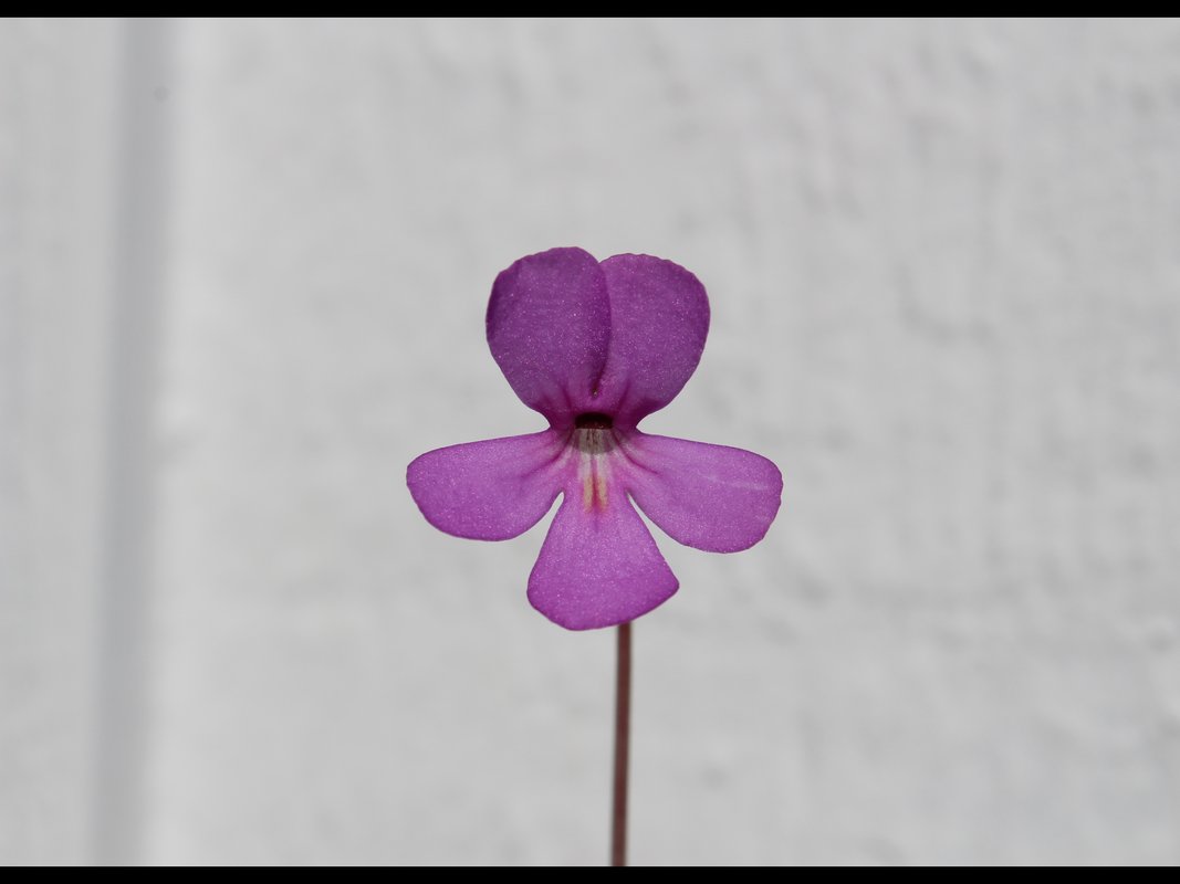 CC520083-1542-49FB-A852-6EECAA574990