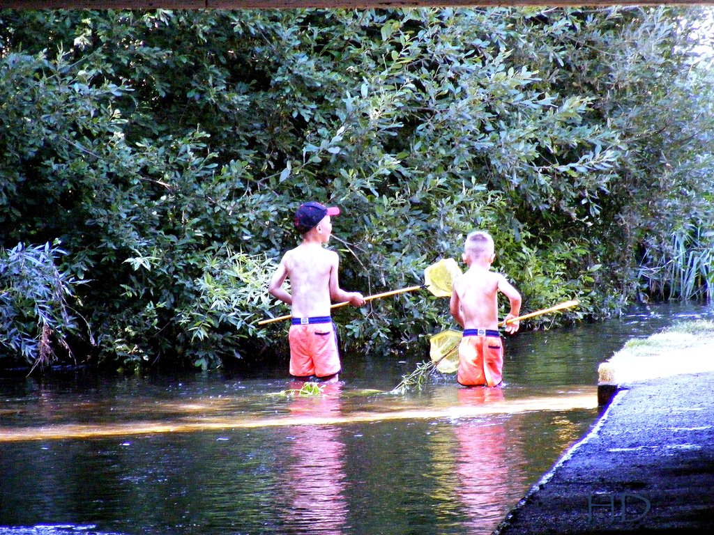 kids-fishing-for-tadpoles-HD.jpg