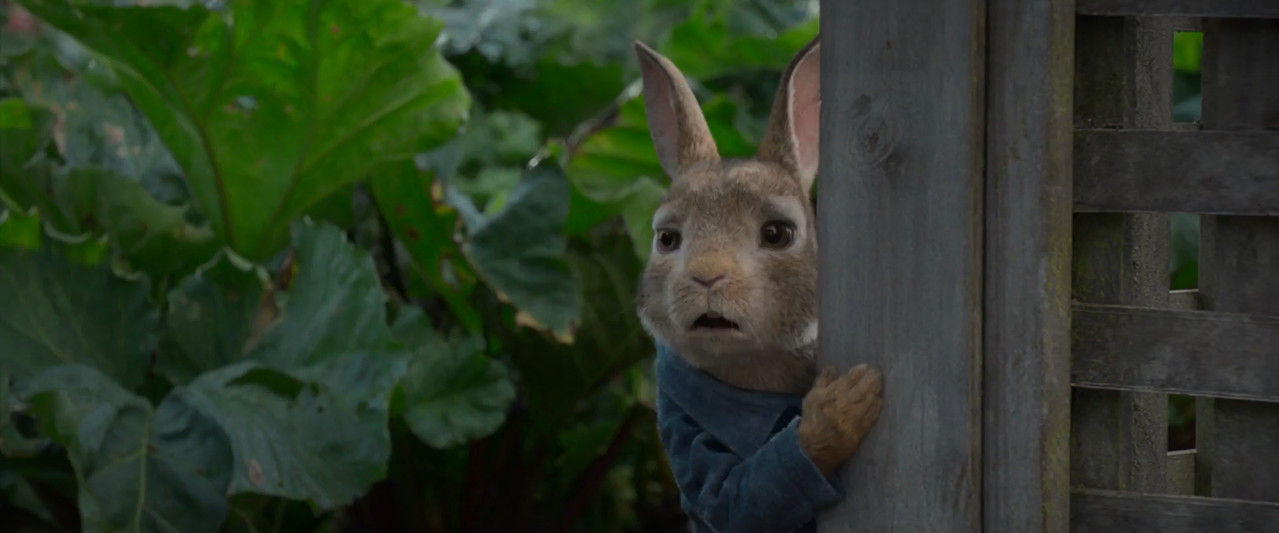 Peter Rabbit 2018 BluRay [Hindi + Tamil + Telugu + English] 1080p 480p 720p ESub Screenshot