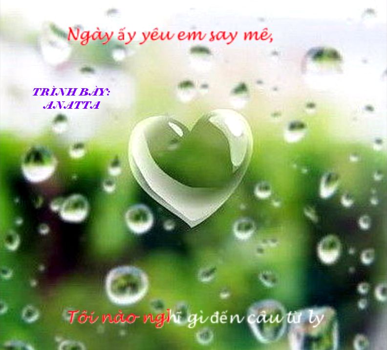 [Image: Banner3A.jpg]