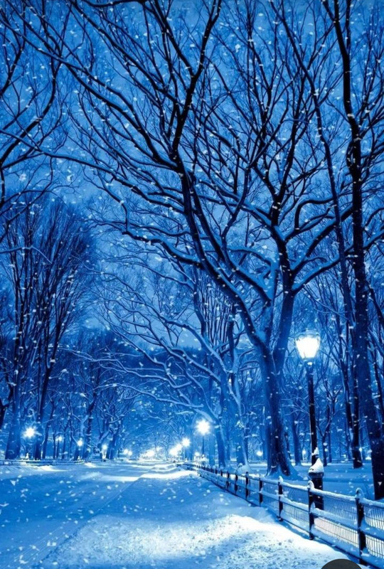 Screenshot_20240130_215051_Pinterest