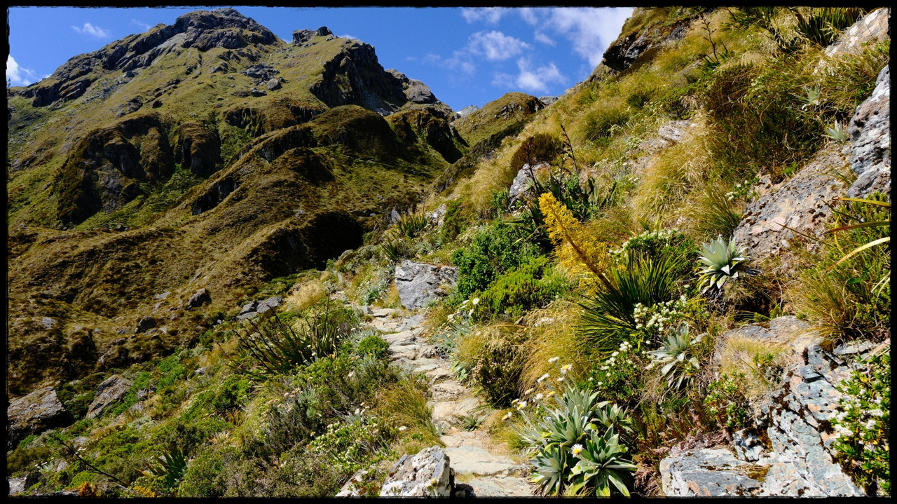 Routeburn versión extendida: Valley of the Trolls, Lake Wilson, Caples (feb. 26) - Escapadas y rutas por la Nueva Zelanda menos conocida (47)