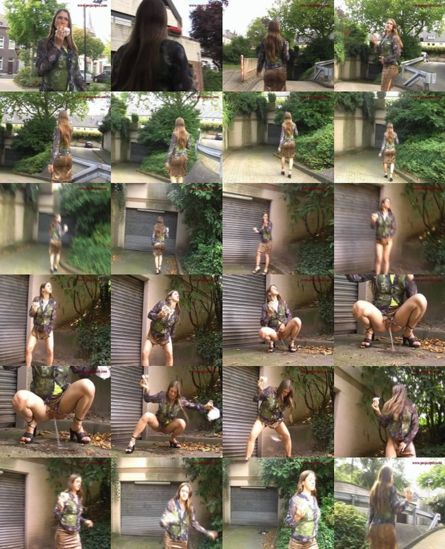 86372Piss