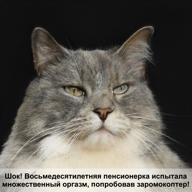 лысая шея у кошки