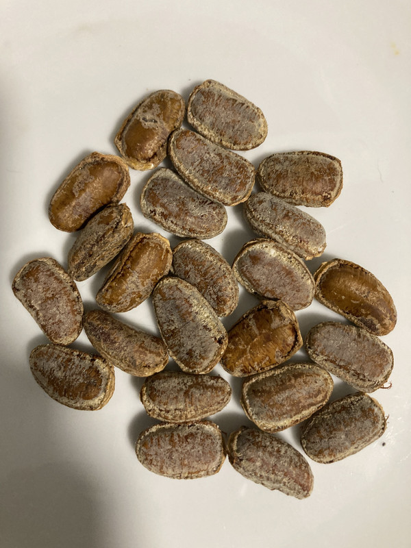 55142CEC-4809-4BA2-A998-E2E82F8AC30F