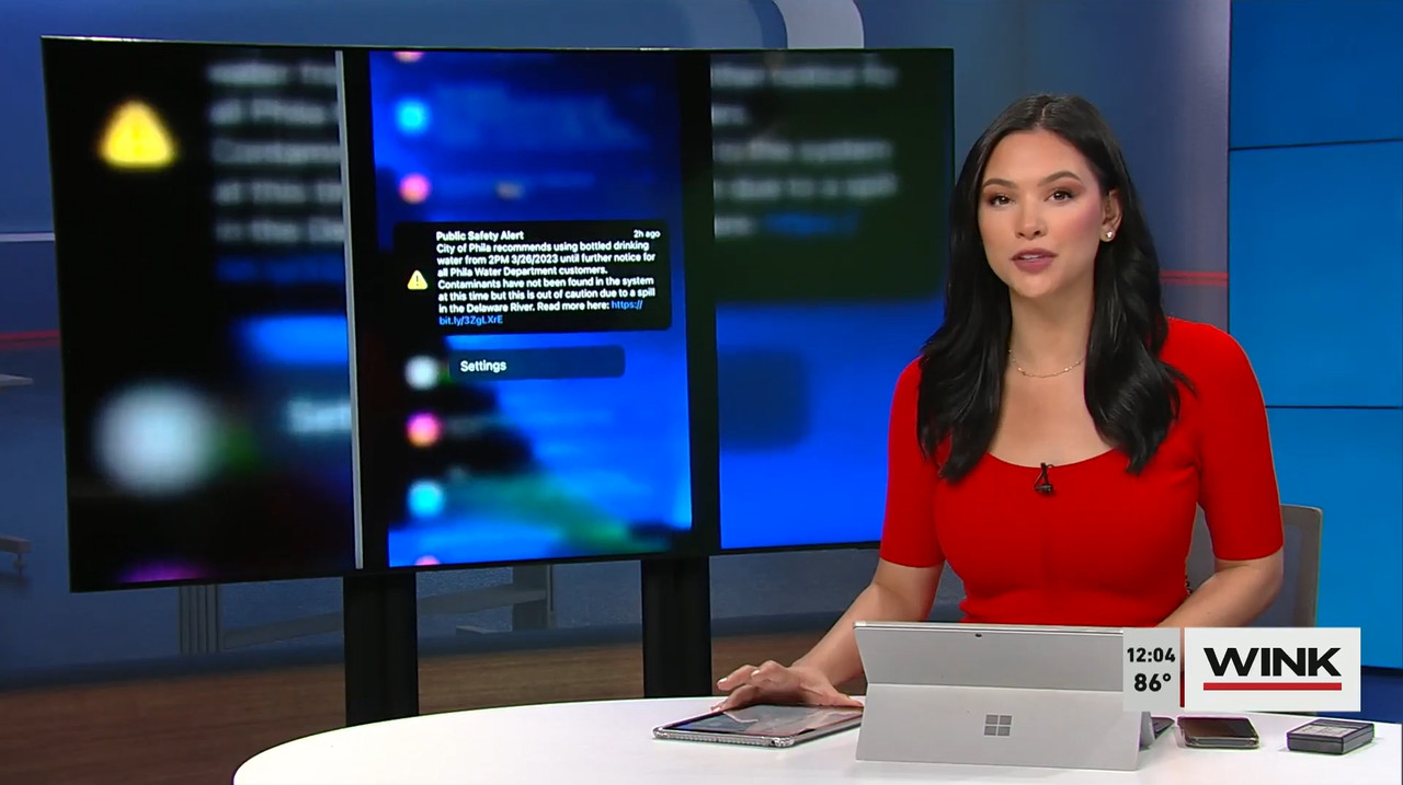 03.27 - 17.00.00 - The Wink Noon News  ᴺᵉʷ. Midday News Update.-1.mp4_snapshot_10.24.957