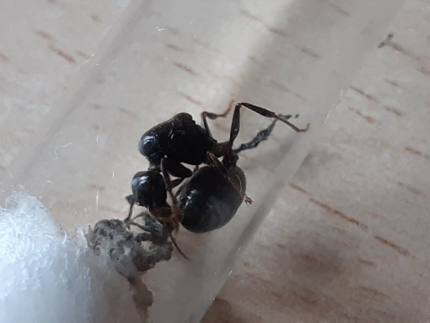 45520472_718703065164691_532913000852488192_n