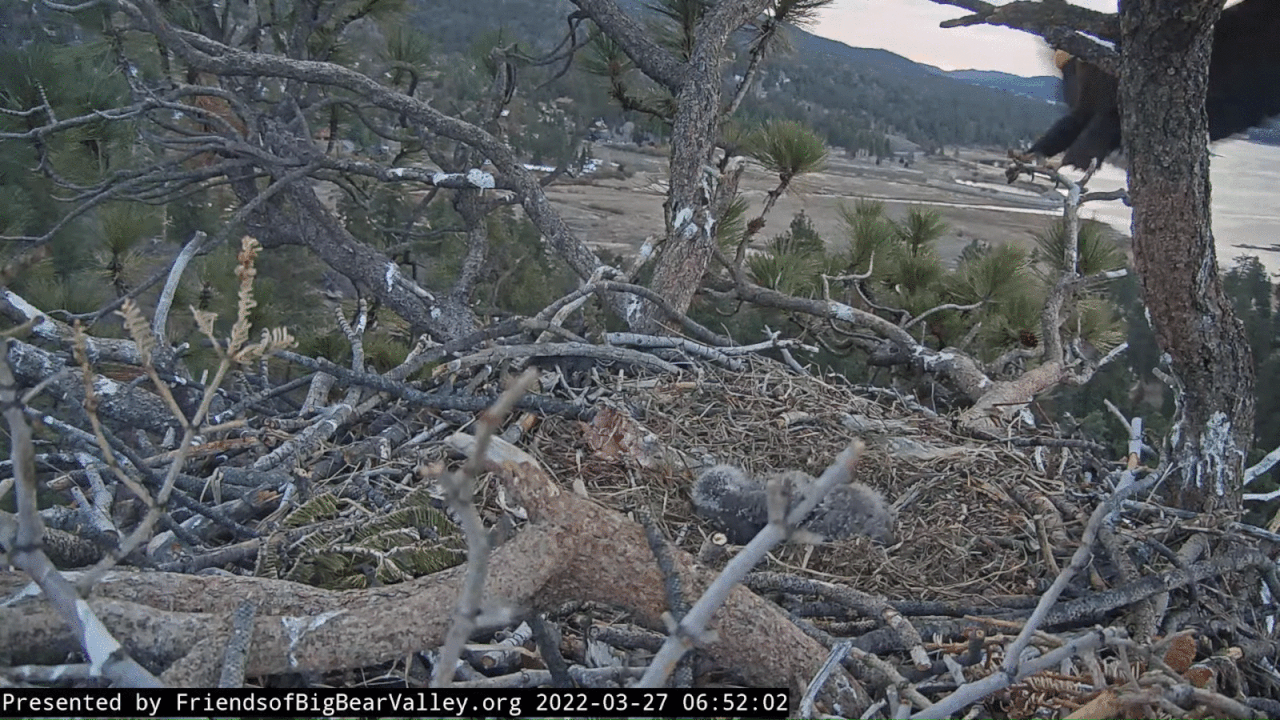 Webp.net-gifmaker (8)