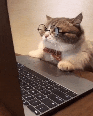 daily-gifdump-3408-30.gif
