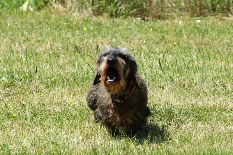 [Image: DSC01524.jpg]