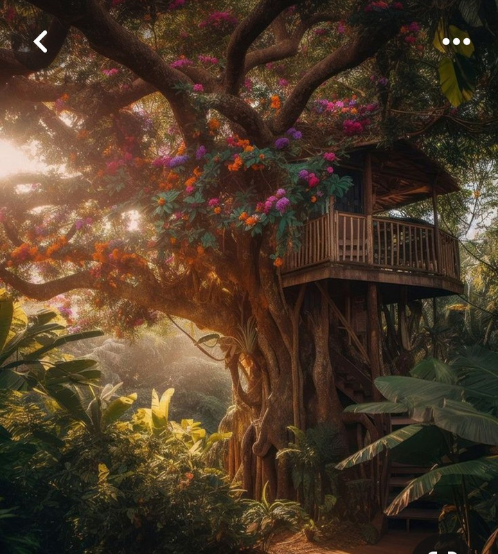 Screenshot_20240507_172908_Pinterest